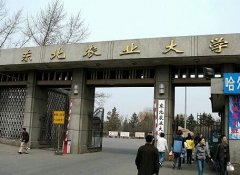 東北農業(yè)大學2018年MBA接收調劑信息